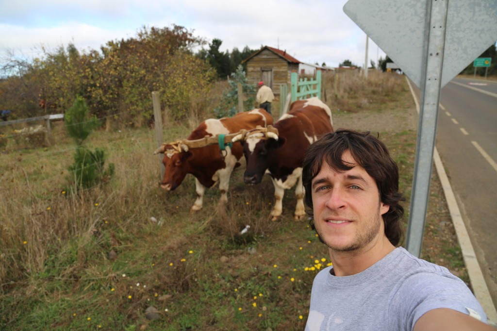 llaguepulli comunidad mapuche