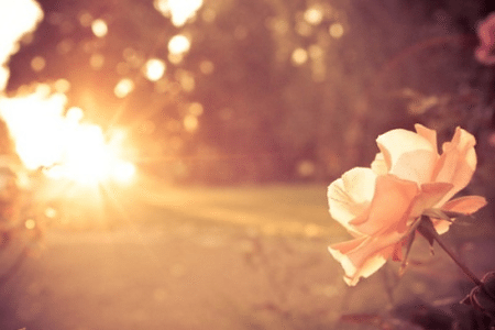 Captura de pantalla 2014-11-02 a la(s) 5.50.16 PM