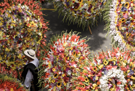 Captura de pantalla 2015-08-03 a la(s) 12.28.08 PM